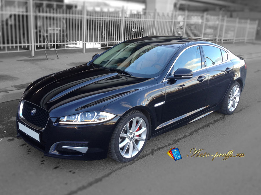 Jaguar-001